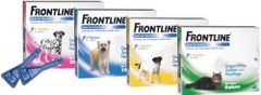 Frontline Spot-on für kleine Hunde - 6 Stück