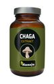 Hanoju Chaga Pilz Extrakt Tabletten 400mg - 90 Stück