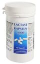 Lactase 4000 IE Enzyme - 80 Stück