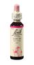 Bach®-Blüte Nr. 19 Larch (Lärche) - 20 Milliliter