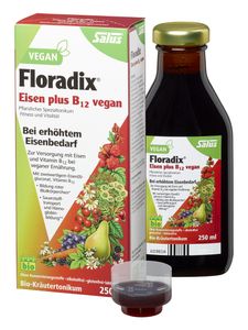 Floradix® Eisen plus B12 - 250 Milliliter