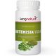 KINGNATURE ARTEMISIA VID KPS - 72 Stück