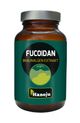 Hanoju Fucoidan 85% Extrakt 600 mg - 90 Stück