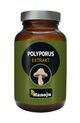 Hanoju Polyporus Pilz Extrakt Tabletten 400mg - 90 Stück