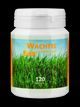 Supplementa Wachteleier, lyophilisiert Kapseln - 120 Stück